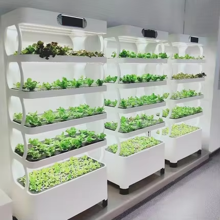Greenhouse Mini Indoor - ระบบปลูกผักไฮโดรโปนิกส์ขนาดเล็กในร่ม พร้อมตู้ปลูกพืชและไฟ LED แบบเรือนกระจก