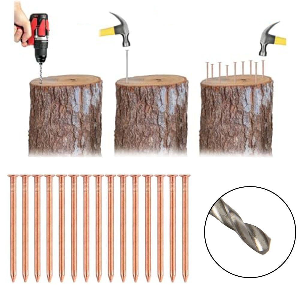 Gardening Tools Target - ตะปูทองแดงแข็งขนาด 2 นิ้วสำหรับตอไม้ – ปุ่มแหลมสำหรับกำจัดตอไม้, อุปกรณ์ทำสวน