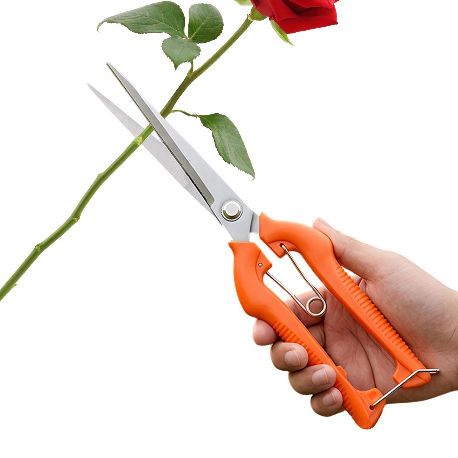 Gardening Tools For Beginners - กรรไกรตัดแต่งกิ่ง ตัดองุ่น อุปกรณ์ทำสวน ตัดผัก ตัดบอนไซ แบบมืออาชีพ