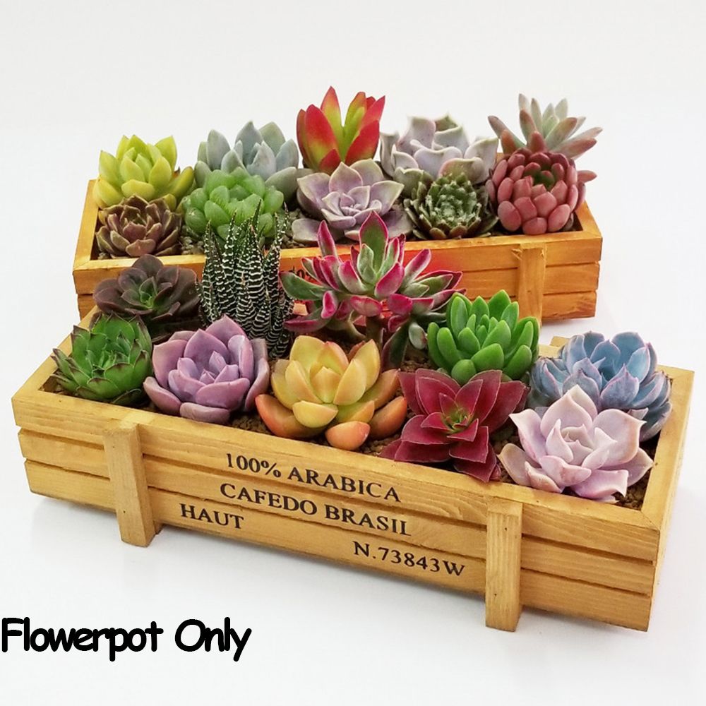 Gardening Tools Vintage - กระถางตกแต่งสวน1อุปกรณ์ลอกฟิล์มกล่องไม้อวบน้ำแจกันทรงสี่เหลี่ยมผืนผ้ากระถางต้นไม้ทำจากไม้ทรงลังไม้สไตล์วินเทจ