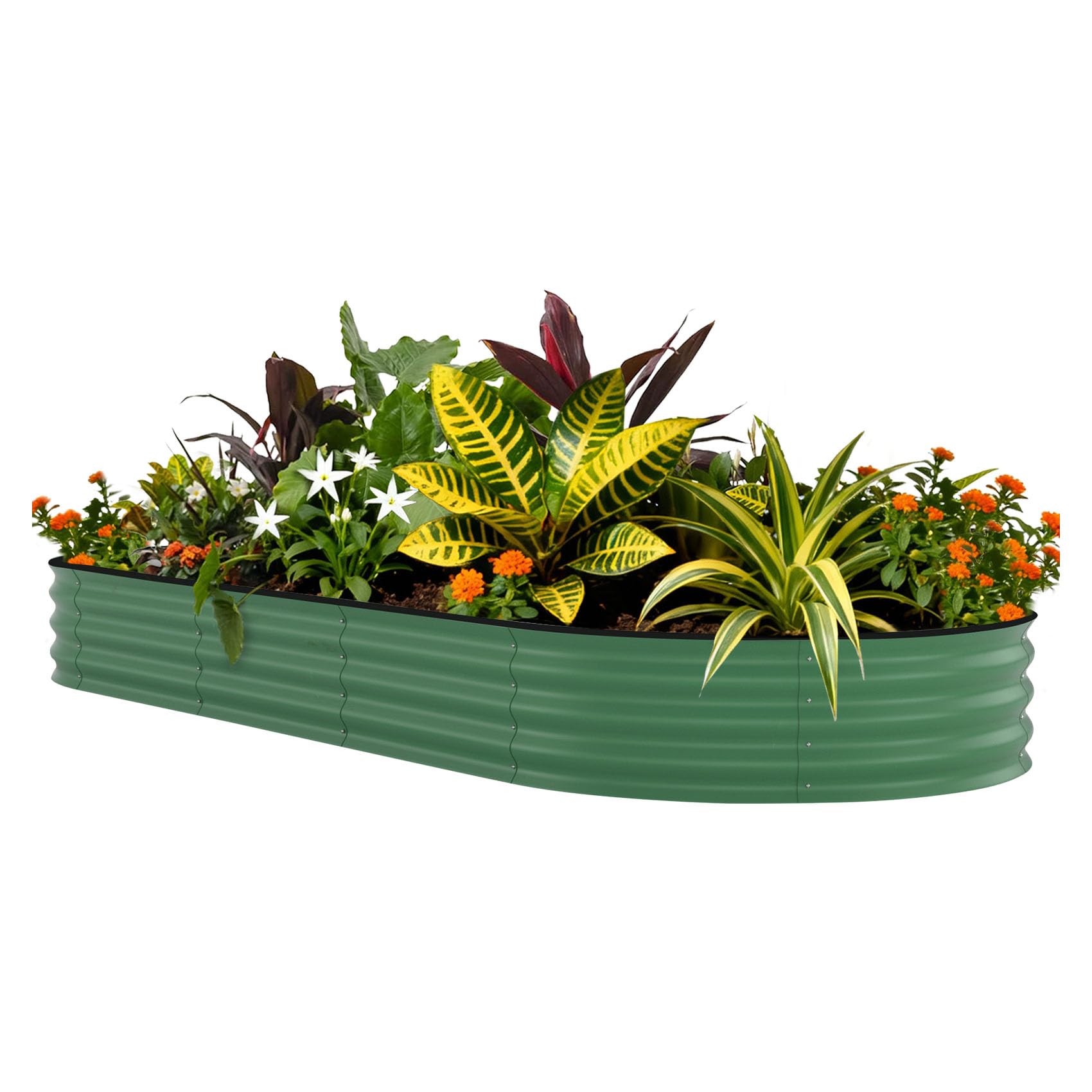 Raised Bed Planter Box - แปลงปลูกผักยกพื้นชุบสังกะสี ขนาด 8x4x1.5 ฟุต - กระถางปลูกต้นไม้โลหะสูง
