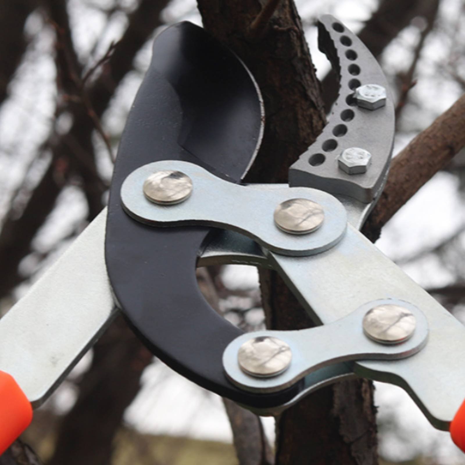 Gardening Tools - กรรไกรตัดกิ่งแบบยืดหดได้ ใบมีดคม กรรไกรตัดกิ่งไม้แบบทนทาน ด้ามจับสบายมือ เครื่องมือทำสวน เคลือบสารกันติด