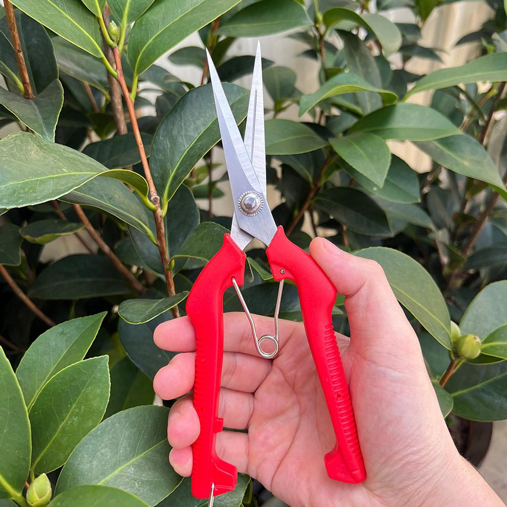 Gardening Tools Hand - กรรไกรตัดแต่งกิ่ง Pro Garden แบบยาวพิเศษ สำหรับตัดต้นไม้ ดอกไม้