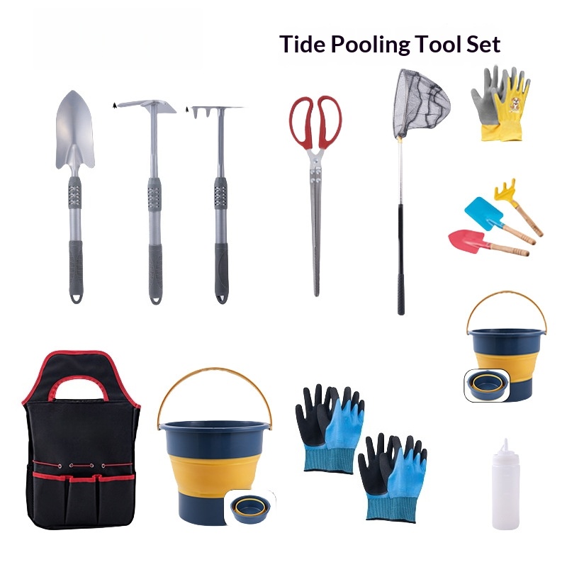 Gardening Tools Target - ชุดเครื่องมือทำสวนแบบรวม, จอบอเนกประสงค์, ถังใส่ของ, ที่หนีบถุงมือ, มีดโกนสำหรับเด็ก, อุปกรณ์ขุดหอย,