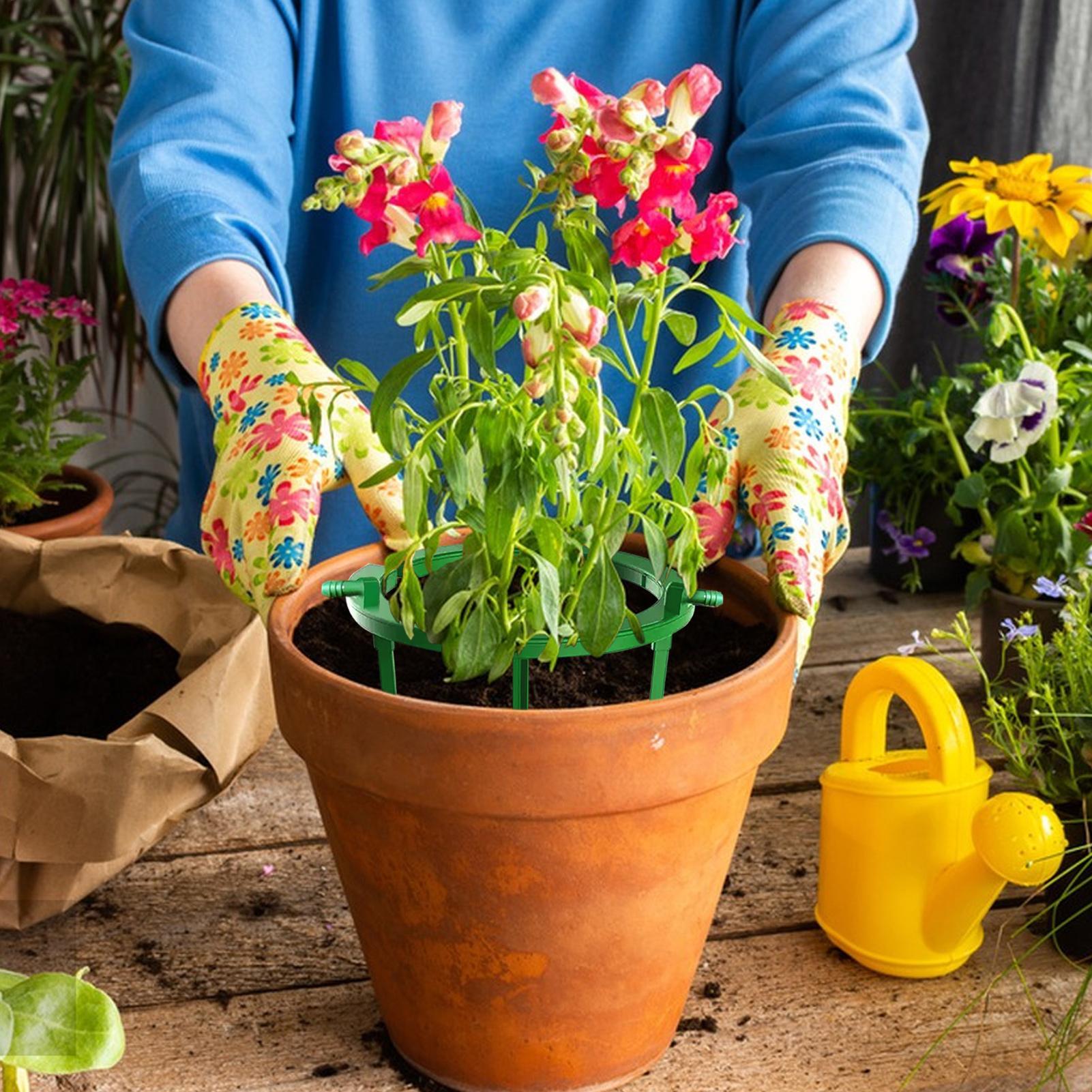 วงแหวนรดน้ำต้นไม้ ชุดระบบน้ำหย - Gardening Tools Target บทวิจารณ์และราคา