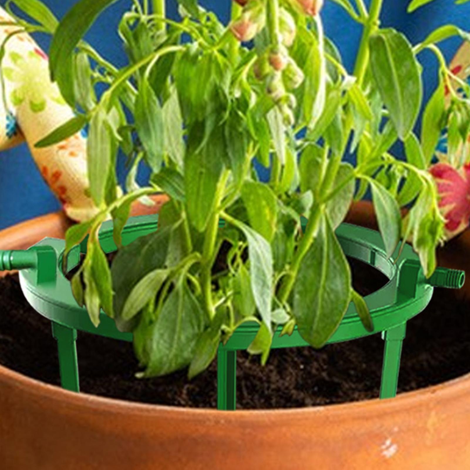 วงแหวนรดน้ำต้นไม้ ชุดระบบน้ำหย - Gardening Tools Target บทวิจารณ์และราคา
