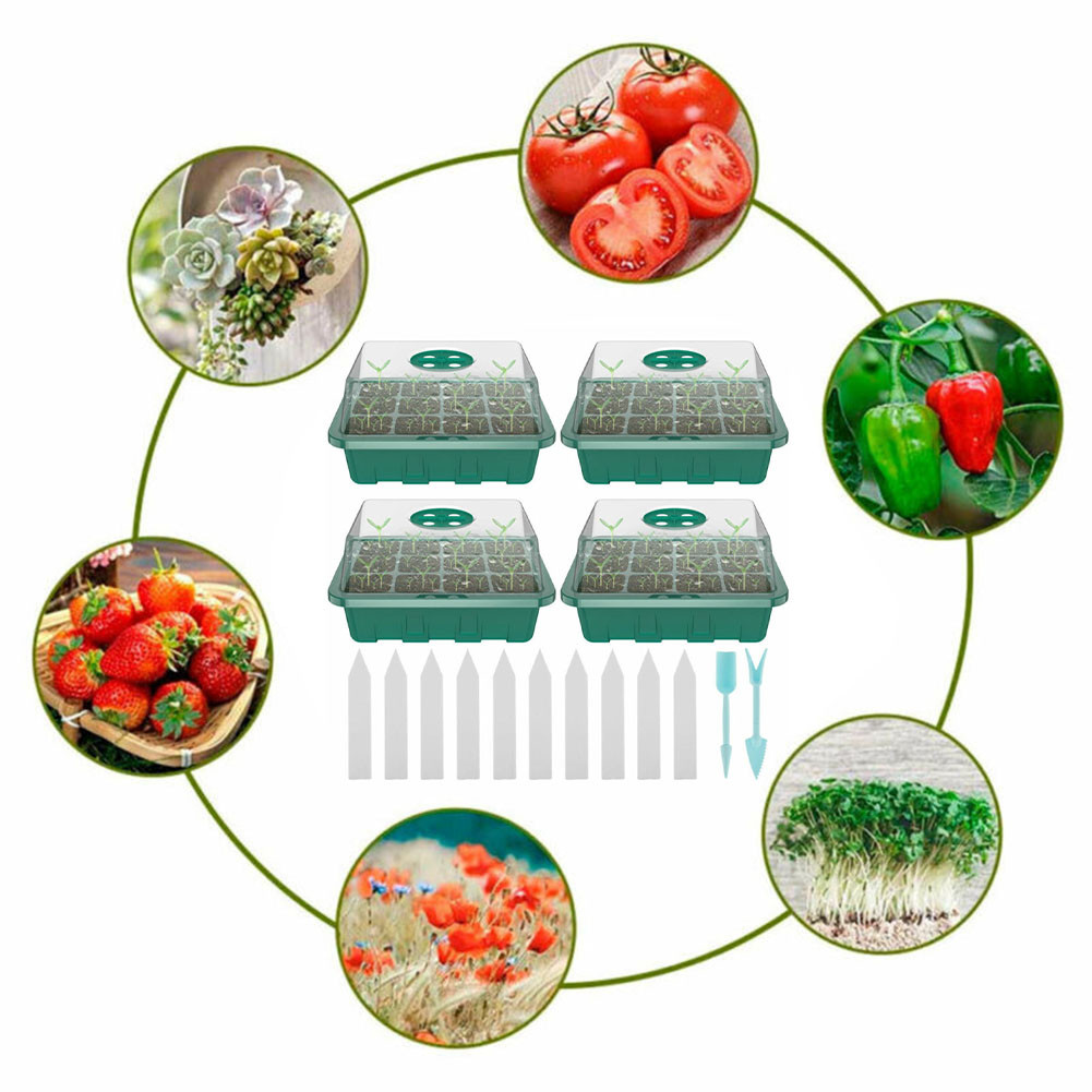 4 ชิ้นเรือนกระจกขนาดเล็ก 12 ช่ - Greenhouse Mini Indoor บทวิจารณ์และราคา