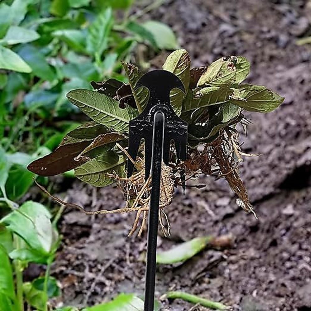 4 ฟัน - มัลติฟังก์ชั่นมือ Weed - Gardening Tools Hand บทวิจารณ์และราคา