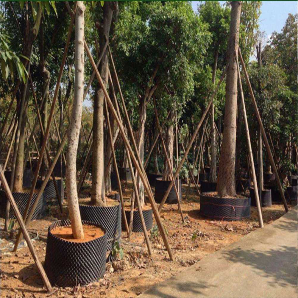 กระถางปลูกต้นไม้แบบเร่งการเจริ - Gardening Tools บทวิจารณ์และราคา