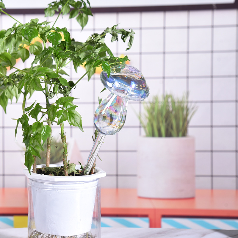 1/2PCS แก้วฟางพืชรดน้ําอัตโนมั - Gardening Tools For Beginners บทวิจารณ์และราคา