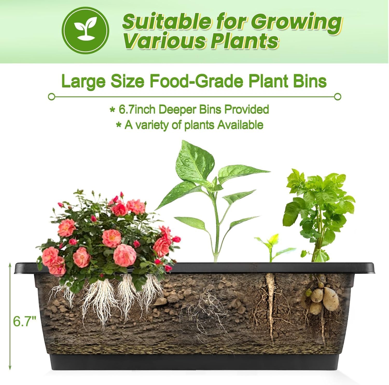 แปลงปลูกผักยกสูงแบบตั้งแนวตั้ง - Raised Bed Planter Box บทวิจารณ์และราคา