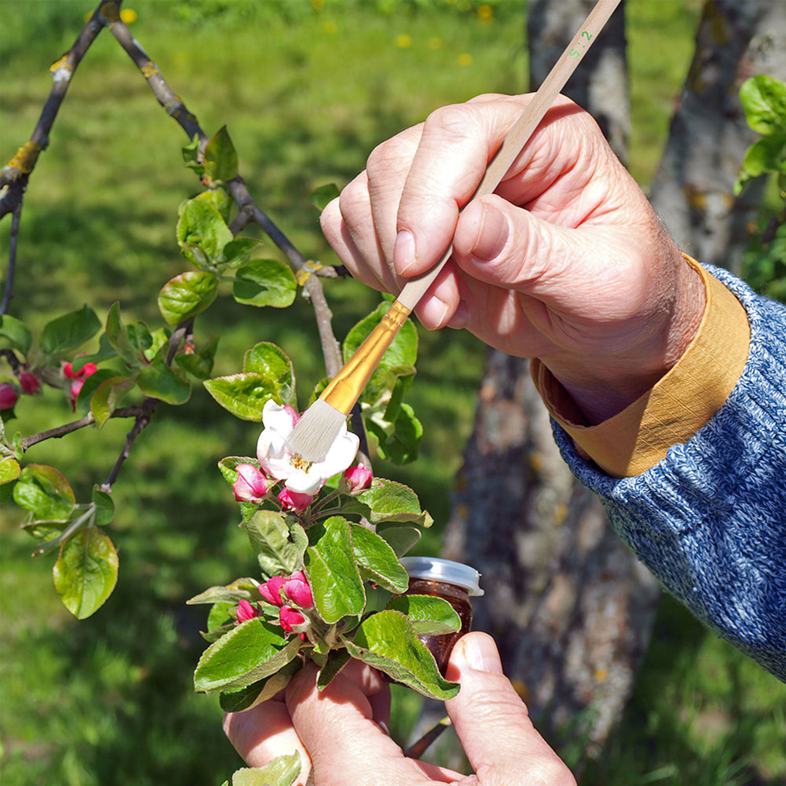 ชุดแปรงเก็บฝุ่นละอองดอกไม้ 16  - Gardening Tools Hand บทวิจารณ์และราคา