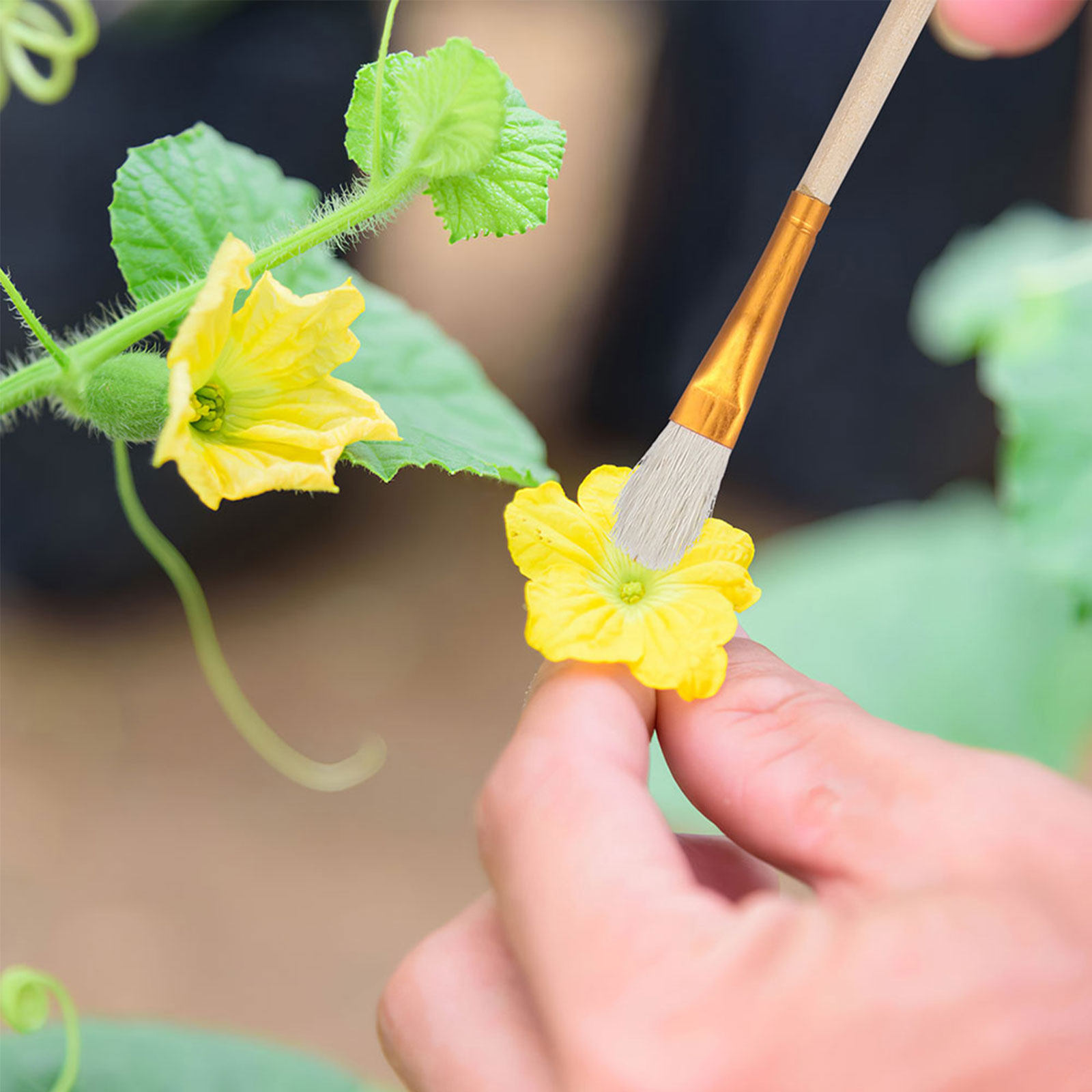ชุดแปรงเก็บฝุ่นละอองดอกไม้ 16  - Gardening Tools Hand บทวิจารณ์และราคา