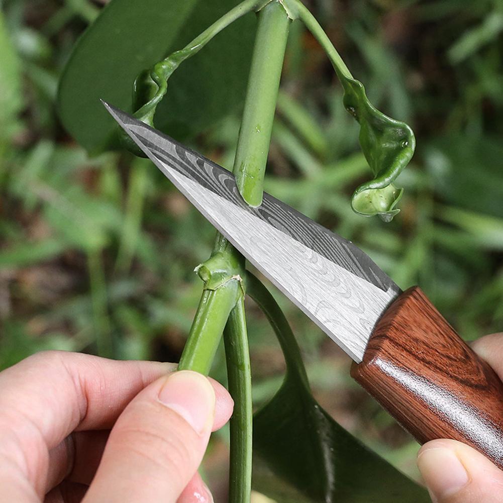 มีดปลูกต้นไม้คมกริบ ด้ามไม้ พร - Gardening Tools For Beginners บทวิจารณ์และราคา