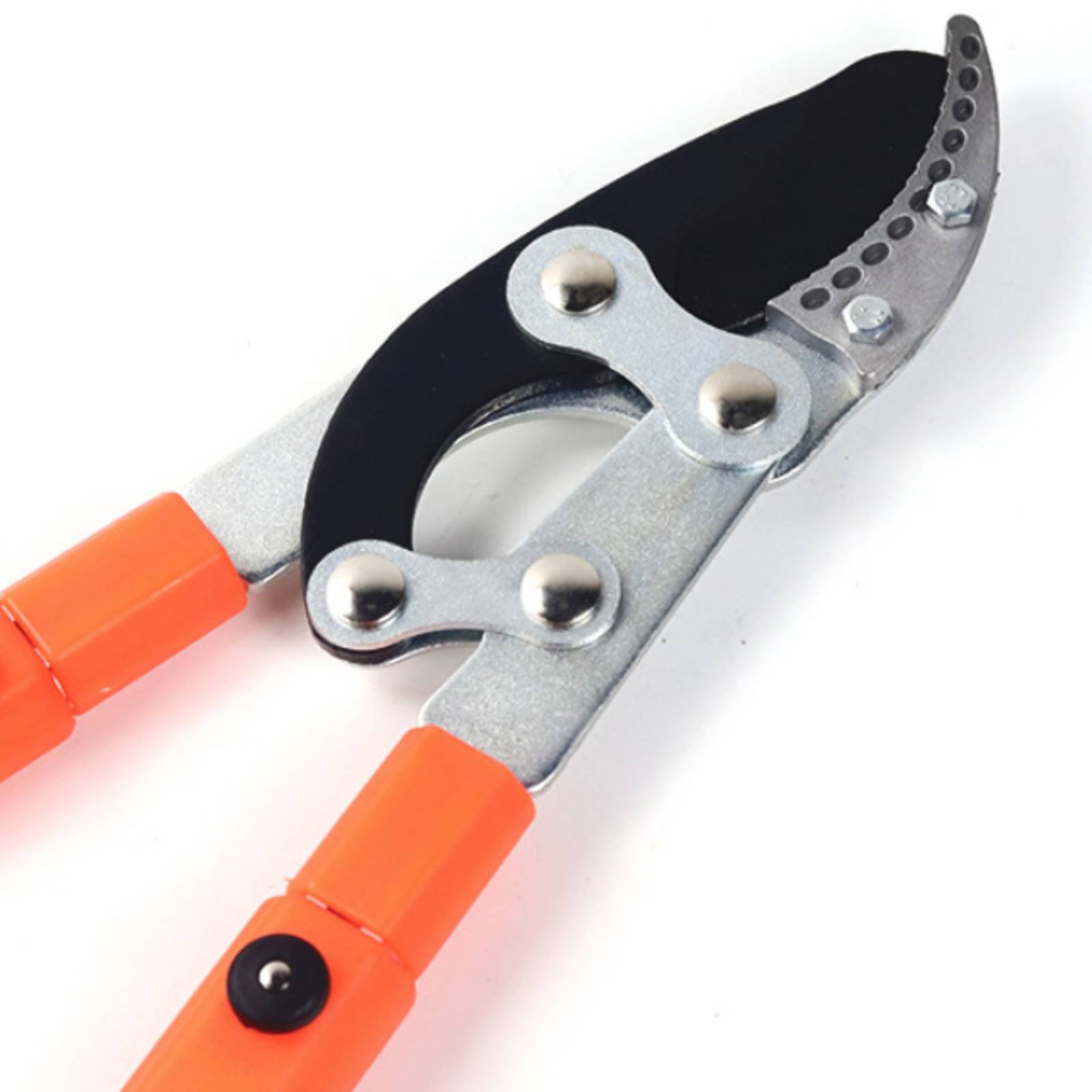 กรรไกรตัดกิ่งแบบยืดหดได้ ใบมีด - Gardening Tools บทวิจารณ์และราคา