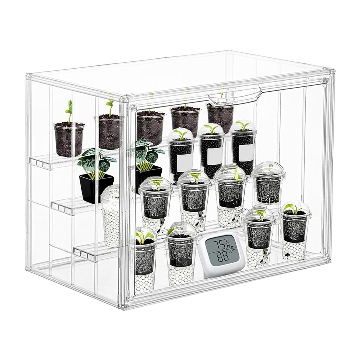 โรงเรือนปลูกต้นไม้ขนาดเล็กแบบพ - Greenhouse Mini Indoor บทวิจารณ์และราคา