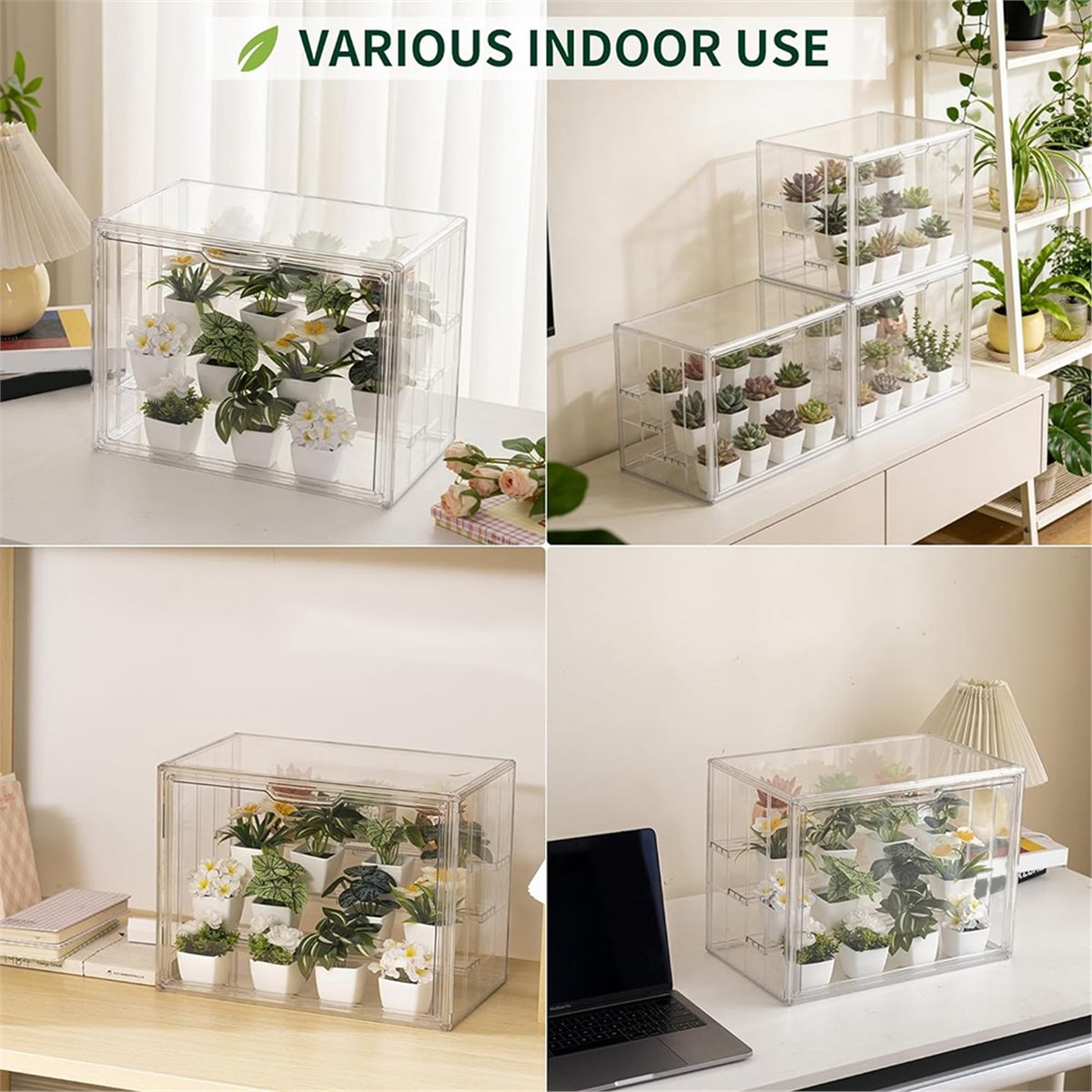 โรงเรือนปลูกต้นไม้ขนาดเล็กแบบพ - Greenhouse Mini Indoor บทวิจารณ์และราคา