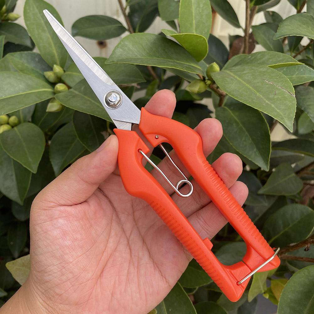 กรรไกรตัดแต่งกิ่ง Pro Garden แ - Gardening Tools Hand บทวิจารณ์และราคา