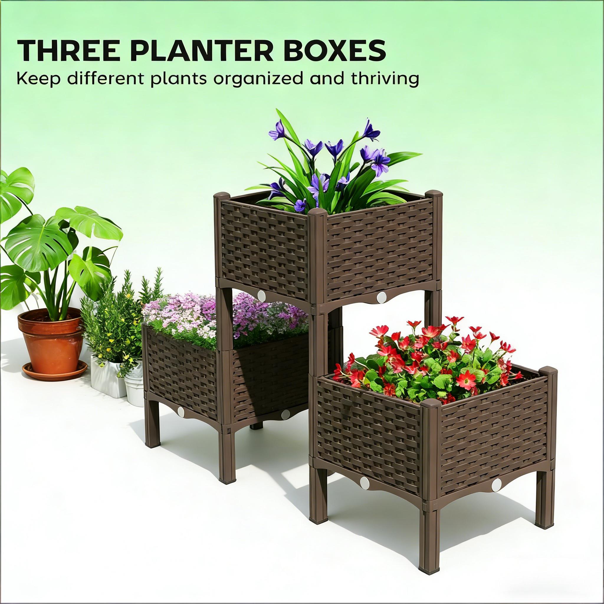 กระถางปลูกต้นไม้แบบยกสูง, แปลง - Raised Bed Planter Box บทวิจารณ์และราคา