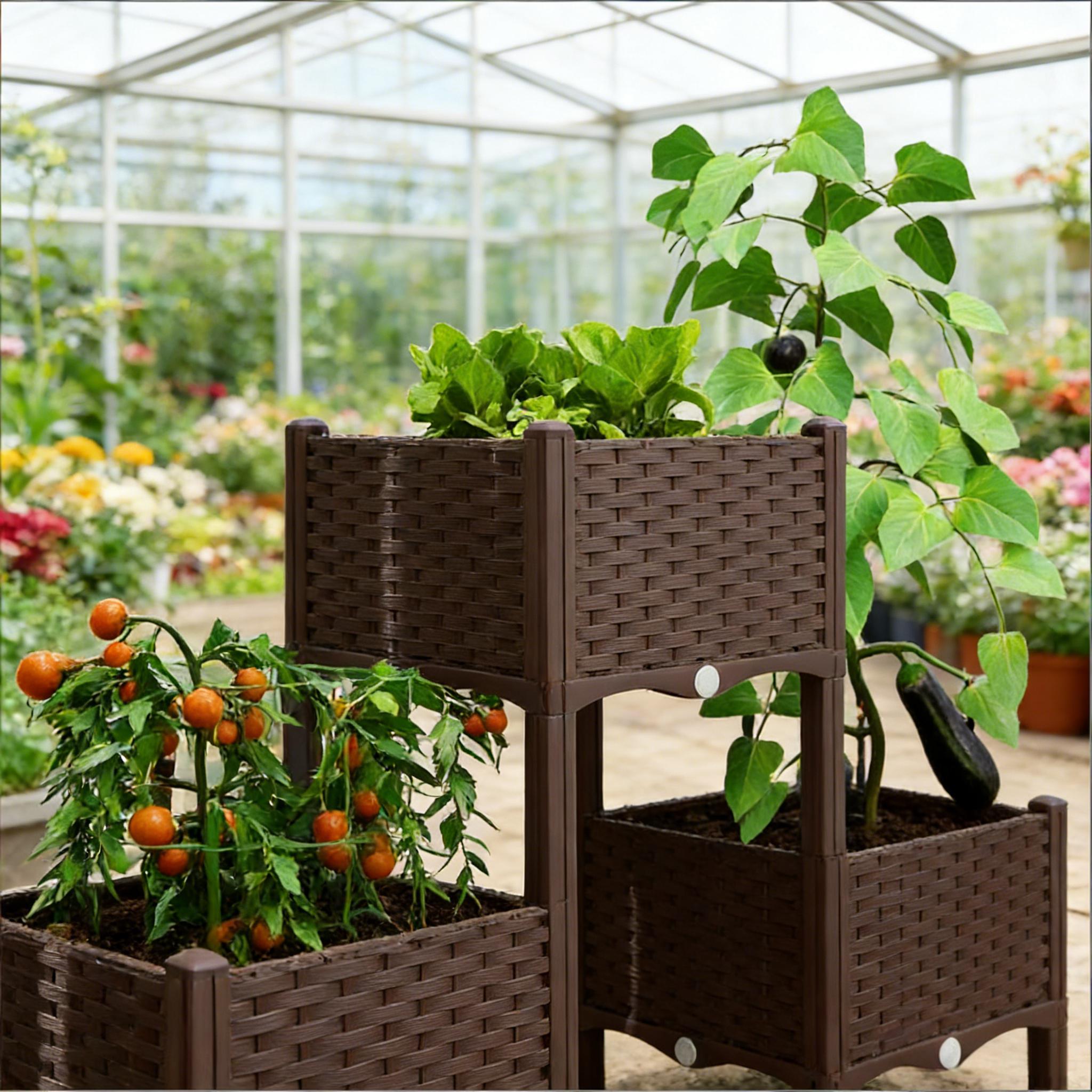 กระถางปลูกต้นไม้แบบยกสูง, แปลง - Raised Bed Planter Box บทวิจารณ์และราคา