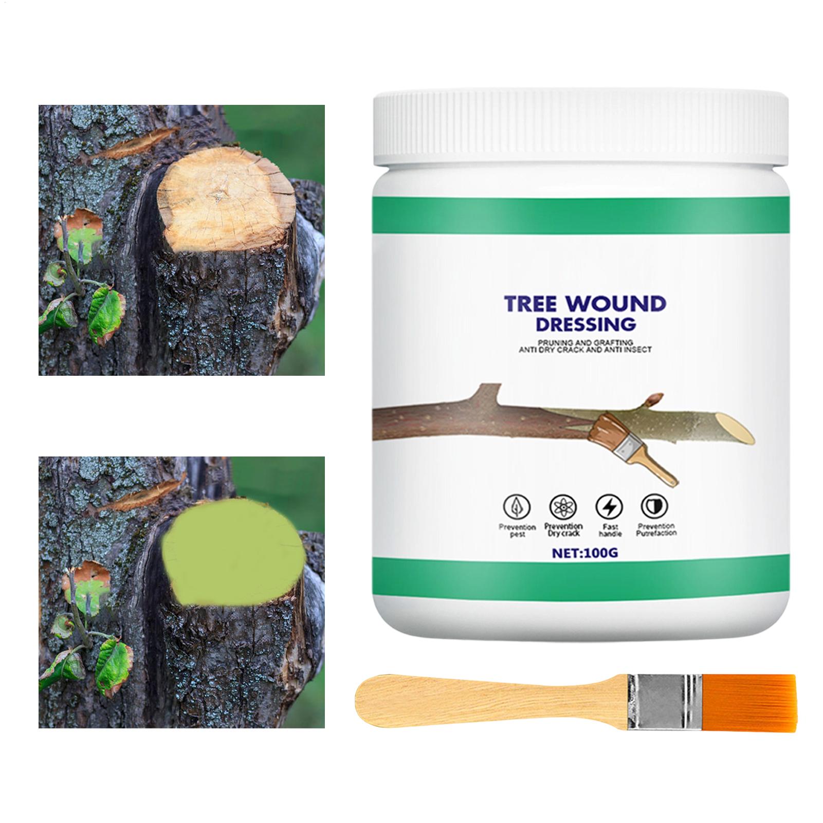 น้ำยาปิดแผลต้นไม้ น้ำยาทาแผลต้ - Gardening Tools Repair บทวิจารณ์และราคา